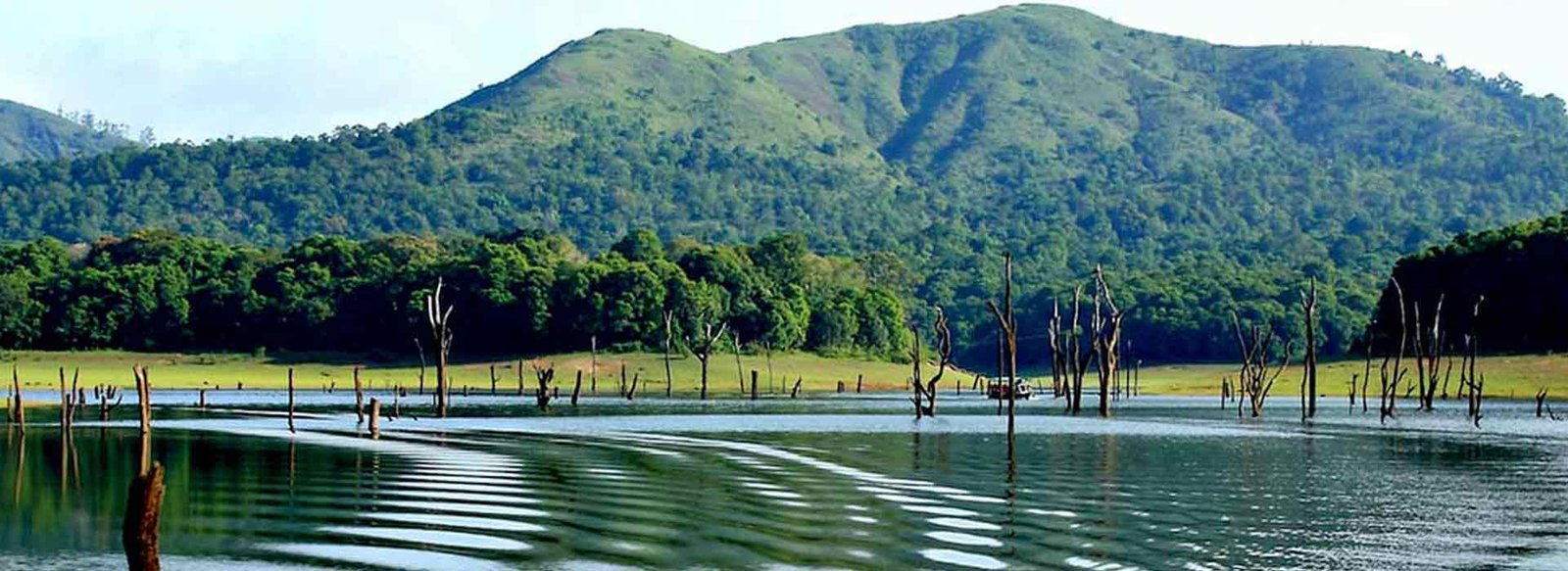 periyar