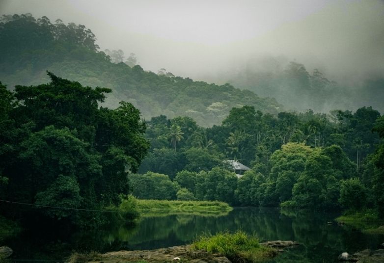 Thekkady TravelHope 2