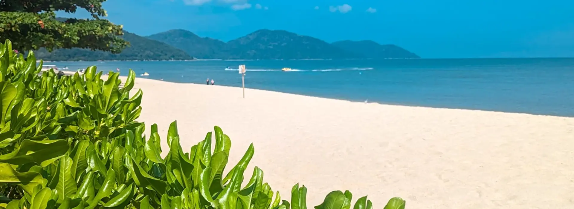 carousel Penang Vibes1