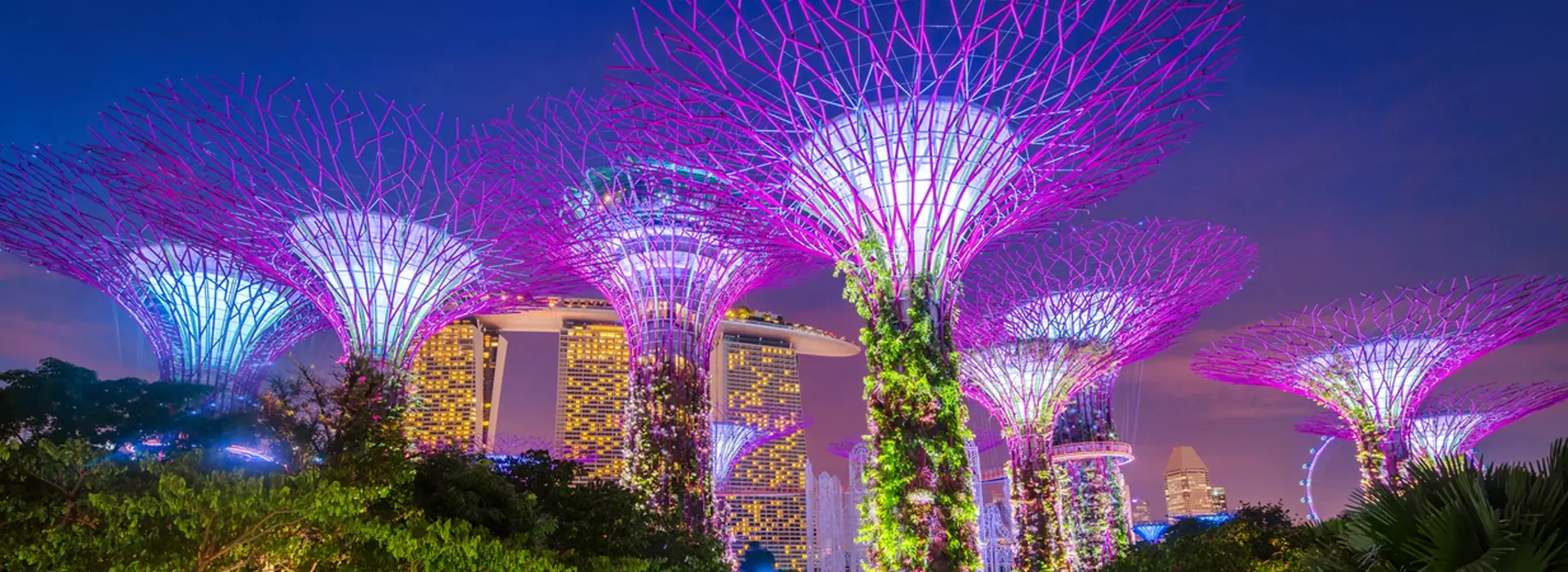 carousel Sparkling Singapore3