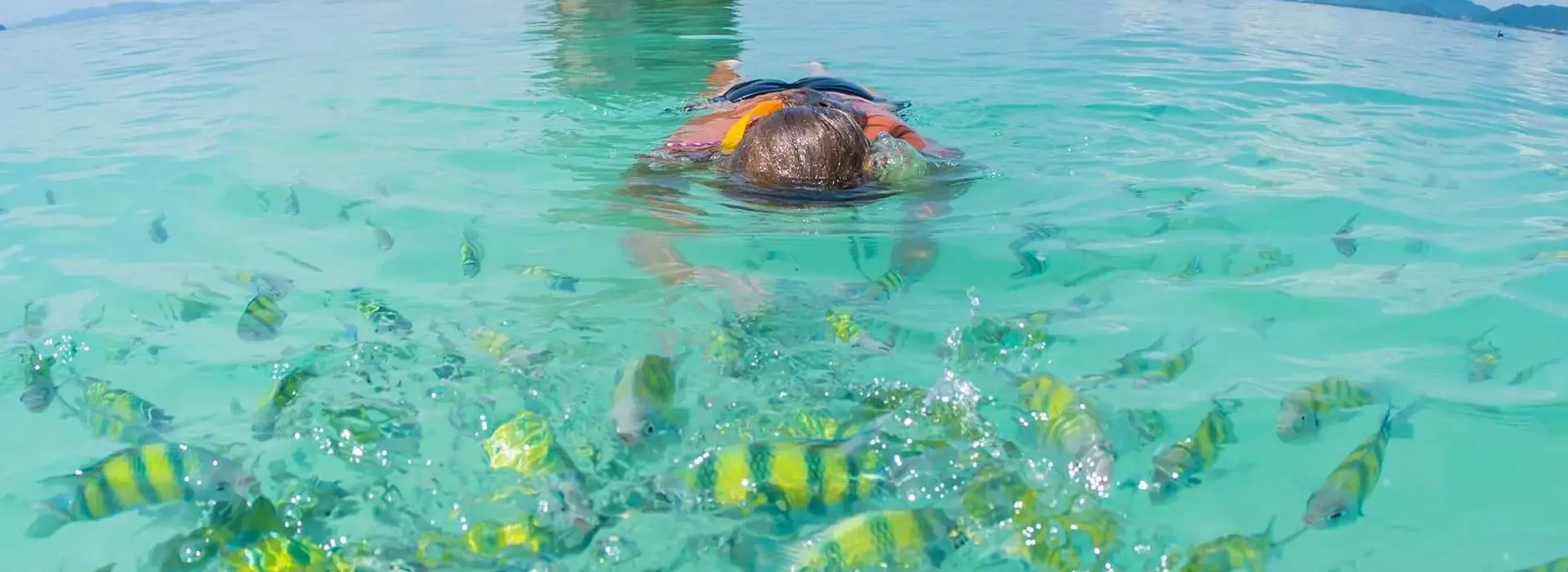 carousel Thai Treasures Bangkok to Krabi2