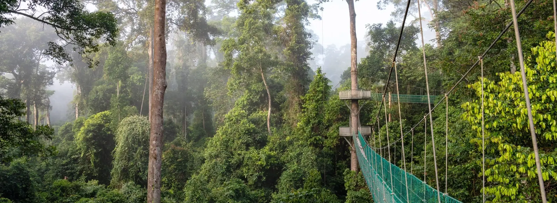 carousel Tropical Sabah3