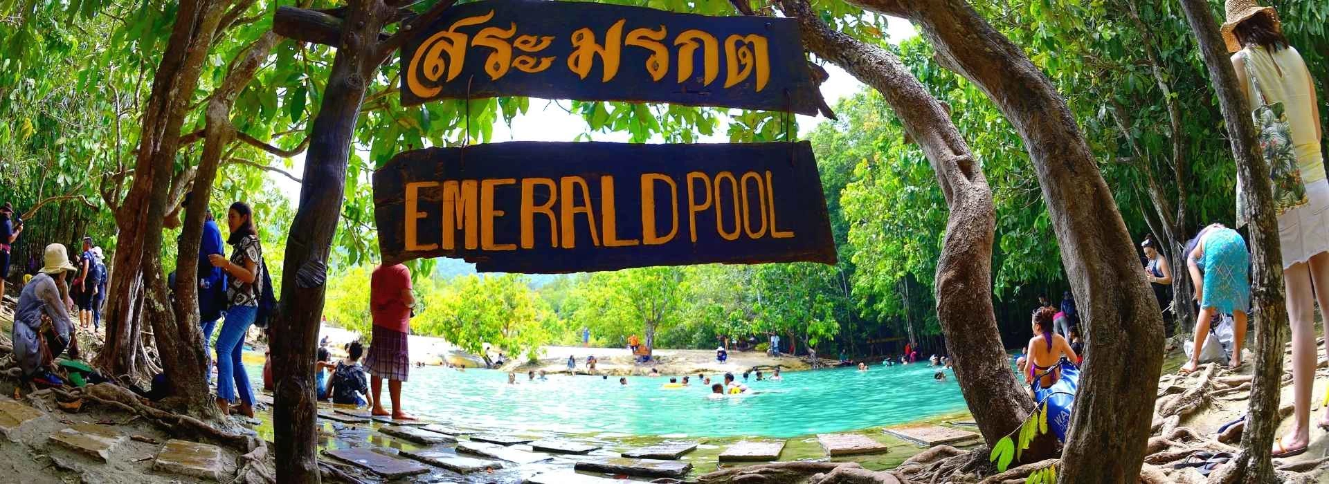 carousel Tropical Twin Escape