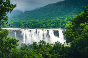 Cheap Kerala Trip Packages Under 10000: 2 & 3 Days Itinerary