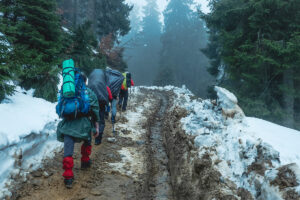 Top Places for Monsoon Trekking in India in 2026