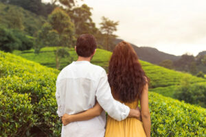 Munnar in 2 Days: Best Romantic Tour Packages for Couples in 2026
