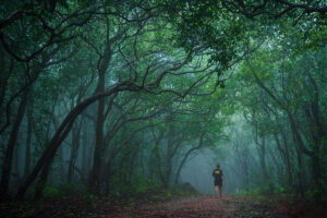 The Magic of Matheran: Best Things to Do in Matheran During Monsoon Season