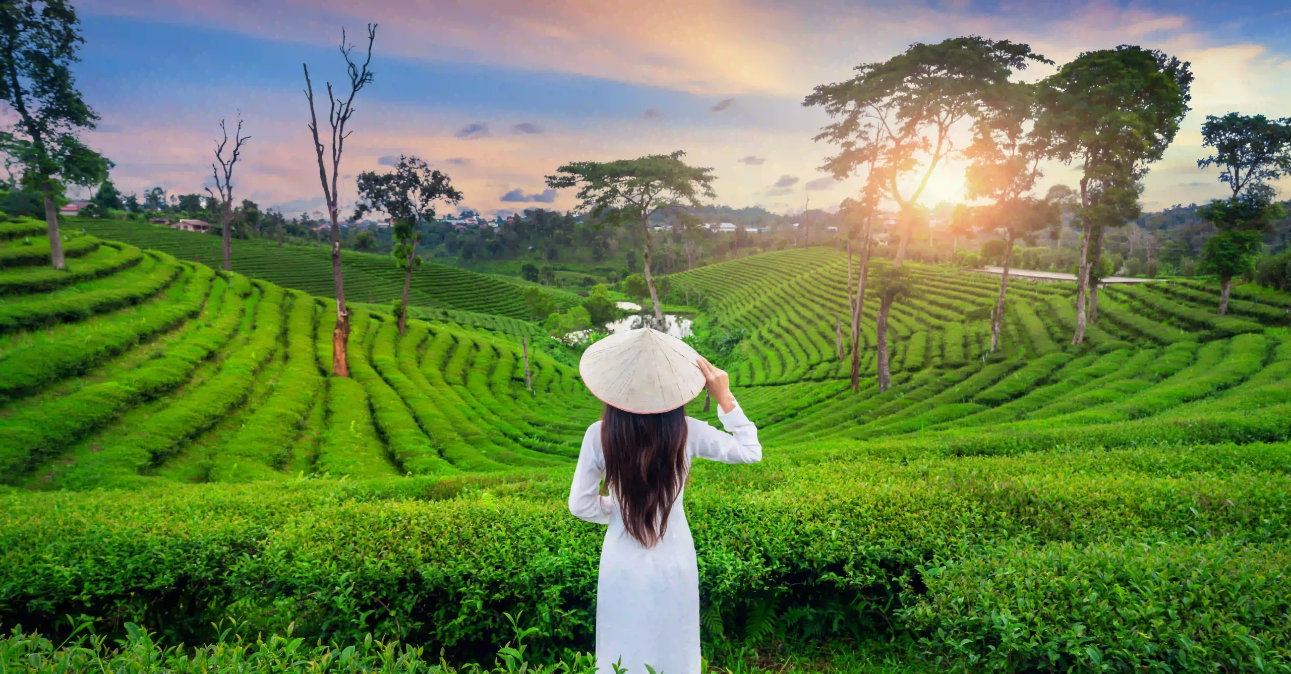 asian-woman-wearing-vietnam-culture-traditional-tea-plantation-chiang-rai-thailand (1)