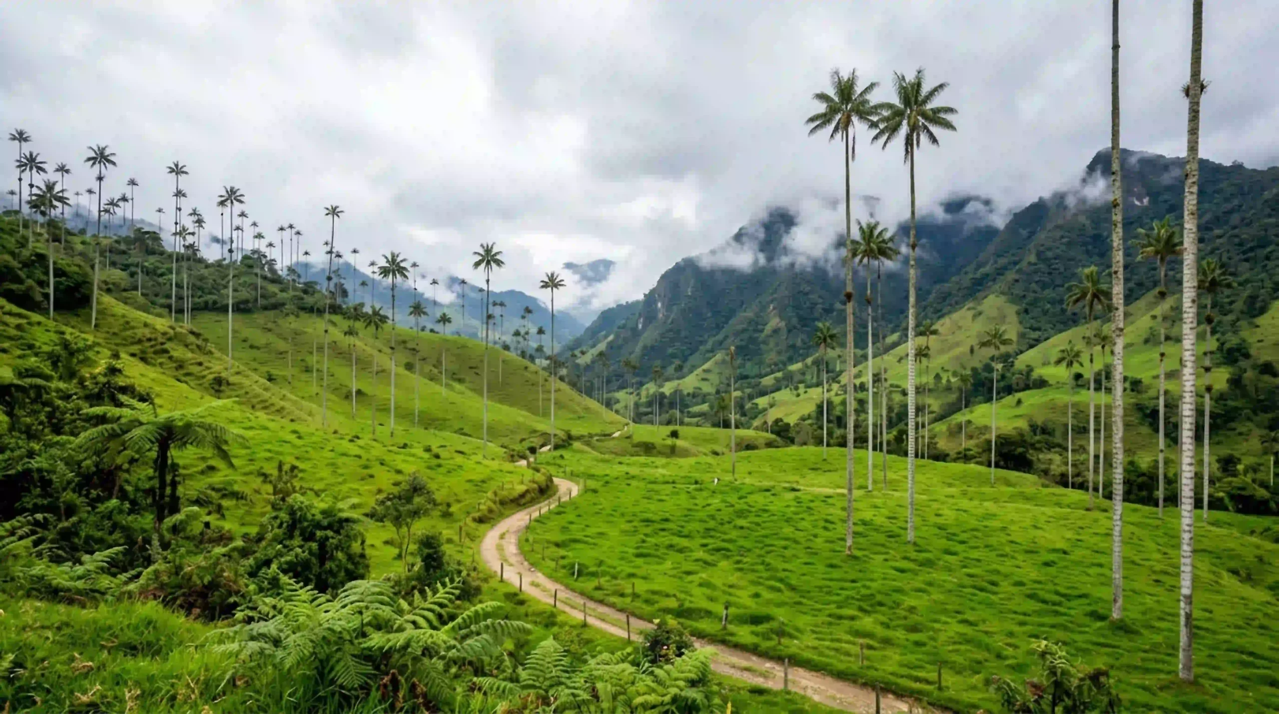 lush-green-mountain-landscape-with-tall-palm-trees