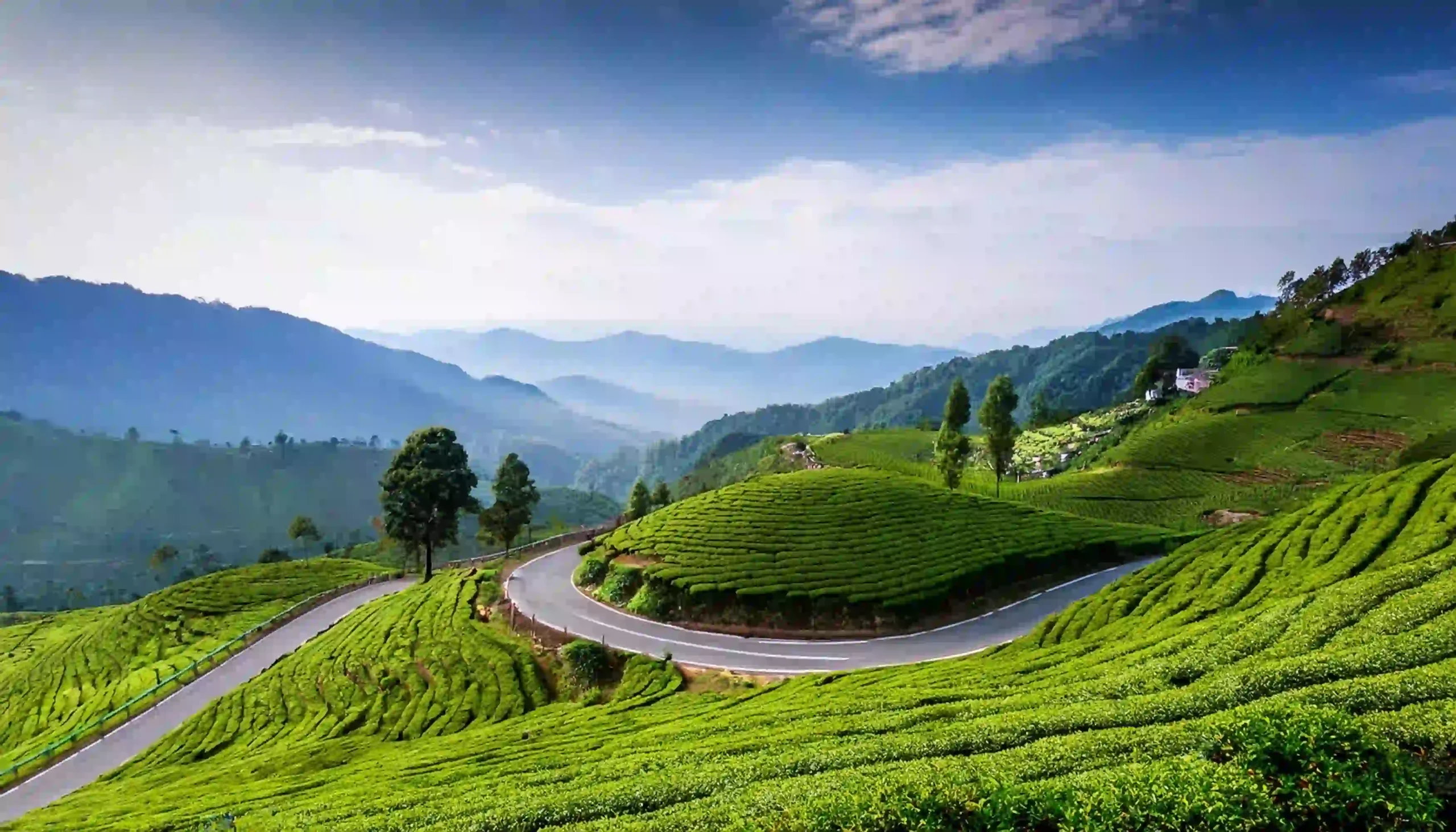 winding-road-mountains