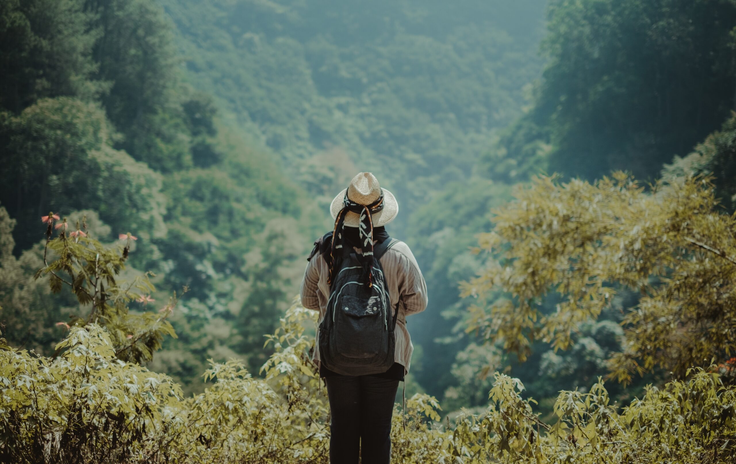 A female standing on a hill looking over the jungle